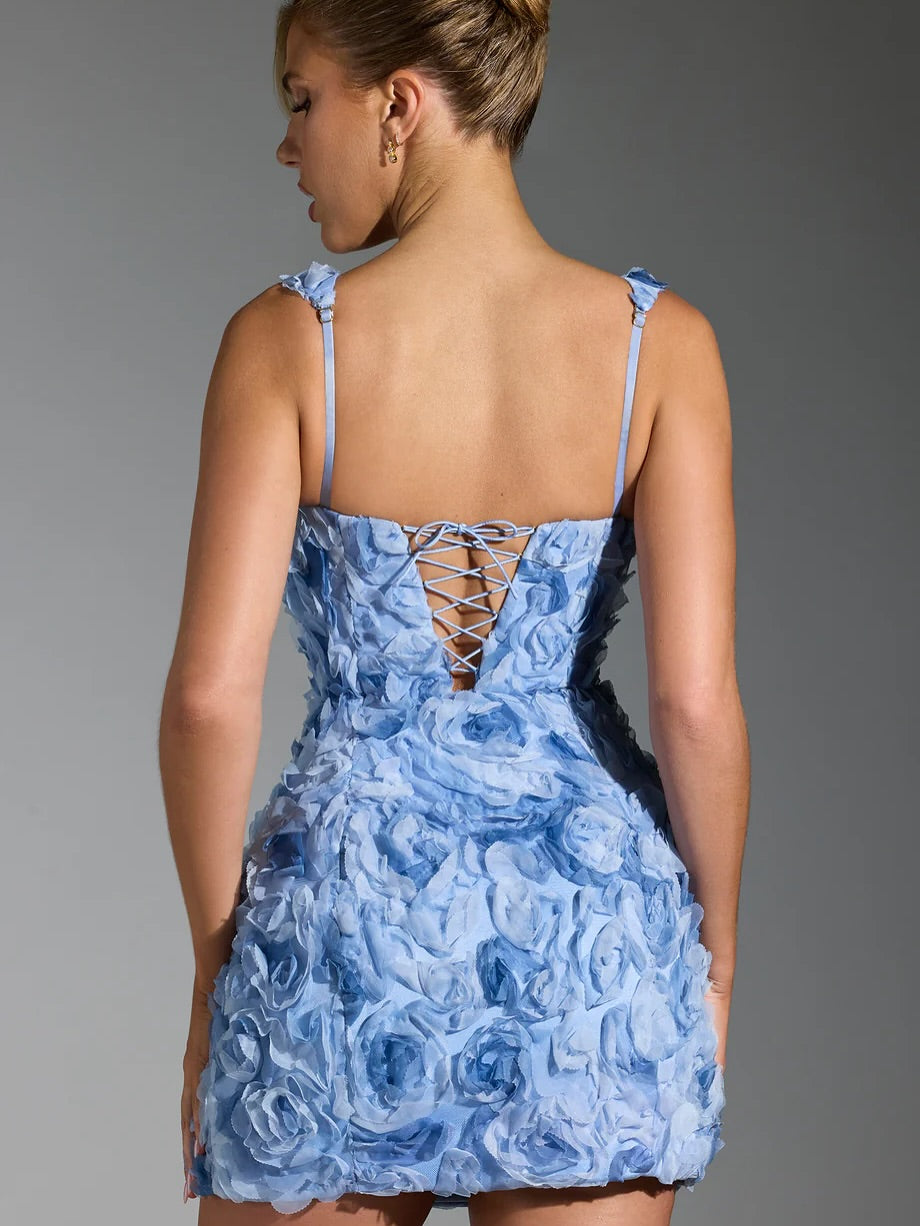 Floral Applique Corset Mini Dress